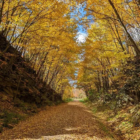 Stay In Ohiopyle Near Gap Trail, Restaurants, & The Fallls Exterior photo