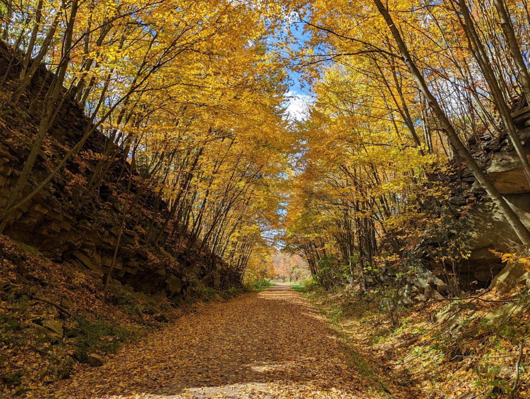 Apartment In Near Gap Trail, Restaurants, & The Fallls